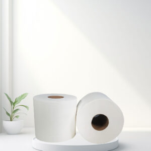 stayklean-janitorial-enterprises-products-everst-pro-center-pull-towels-1